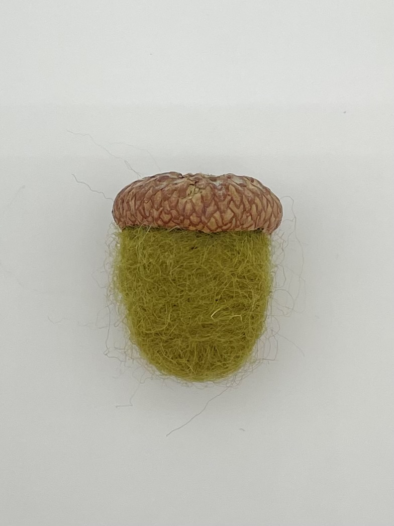 Acorn