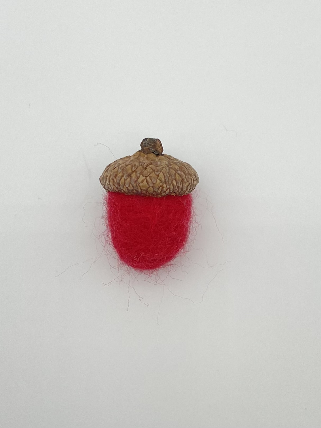 Acorn