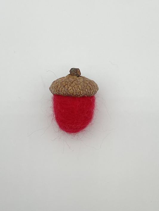 Acorn
