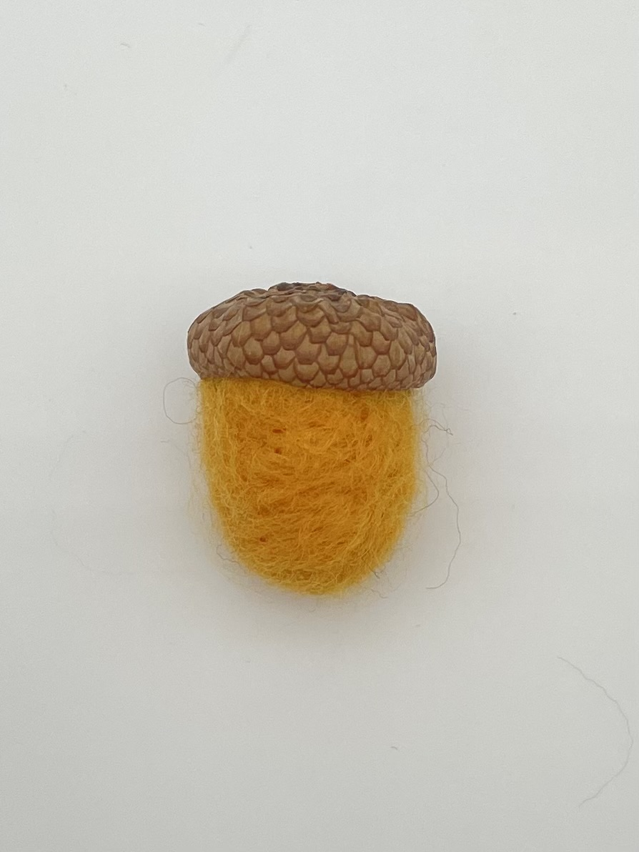 Acorn