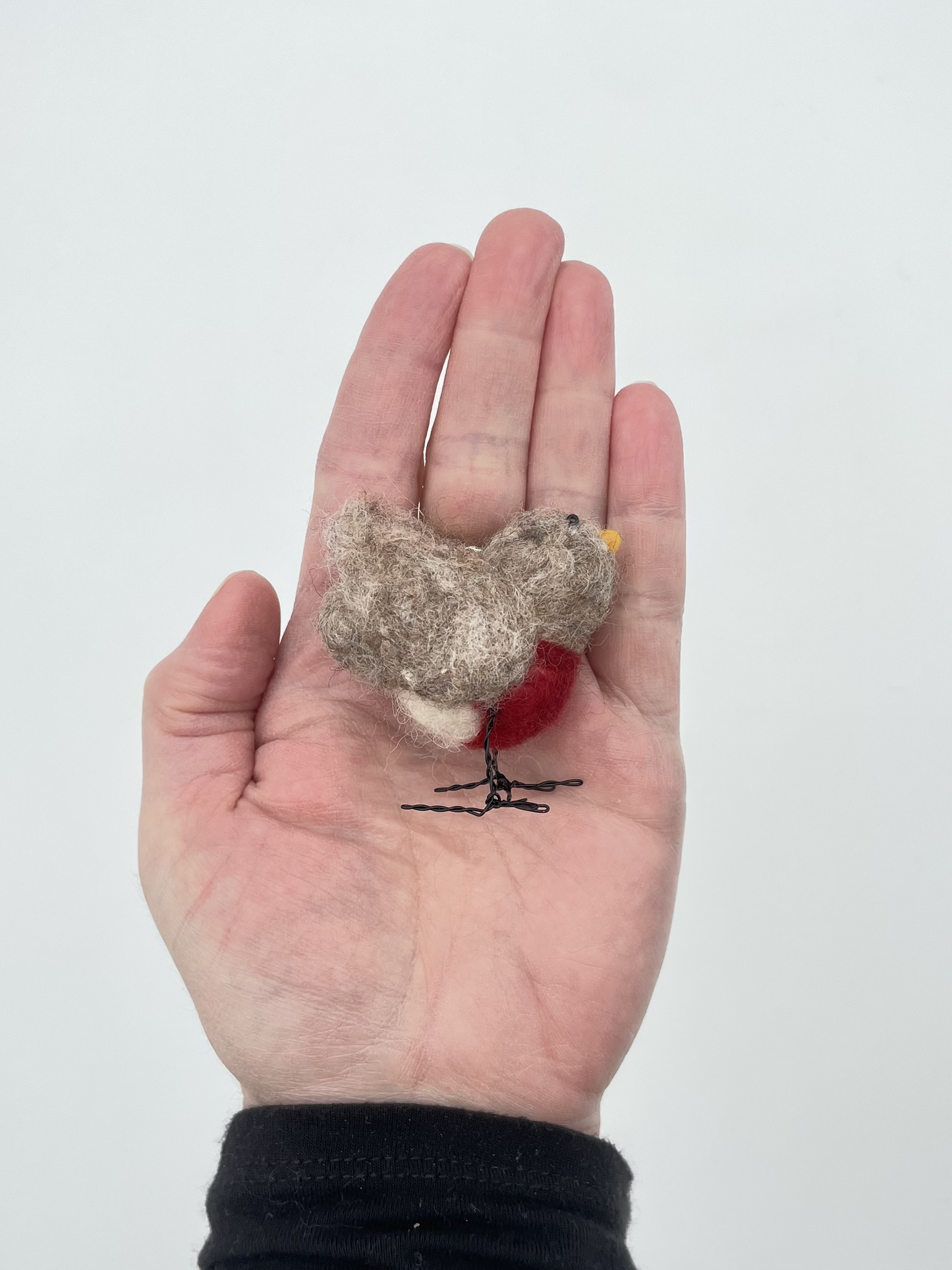 Small Bird