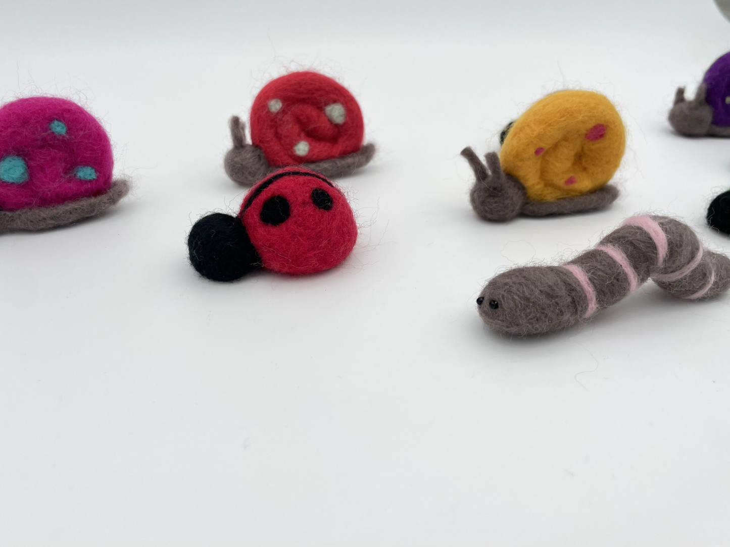 Ladybug