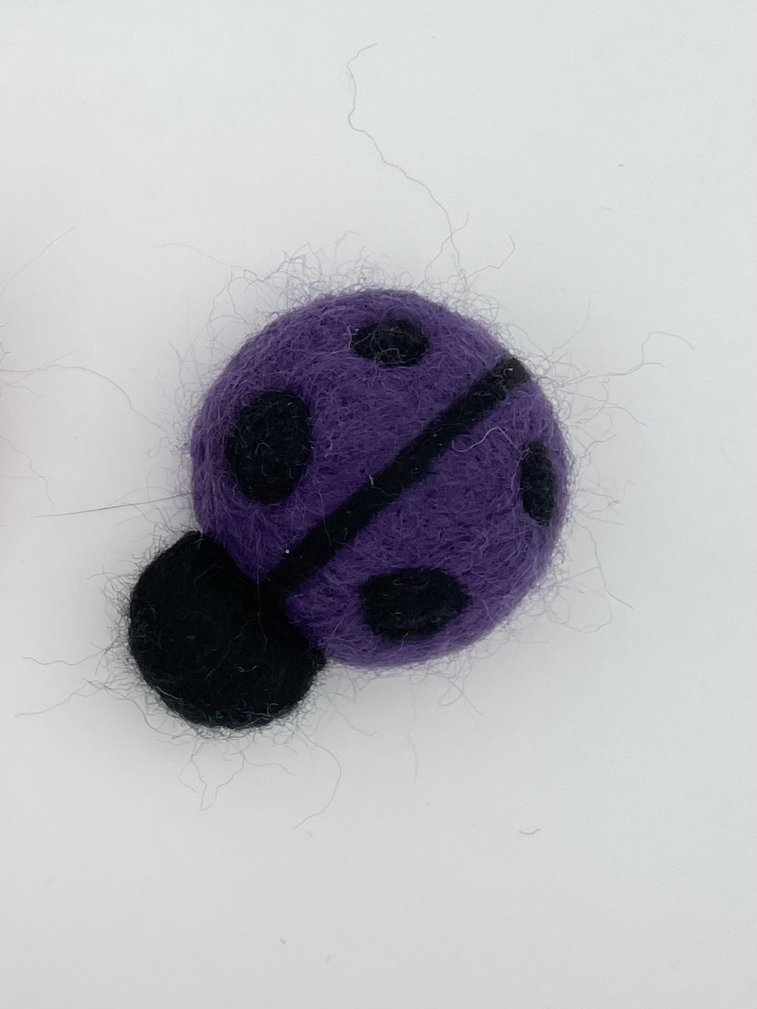Ladybug
