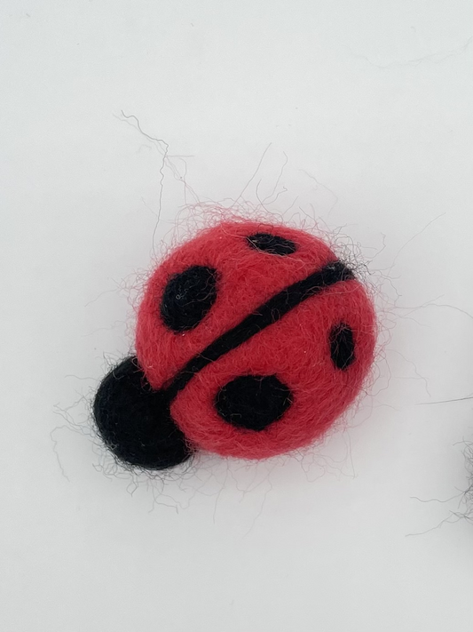 Ladybug