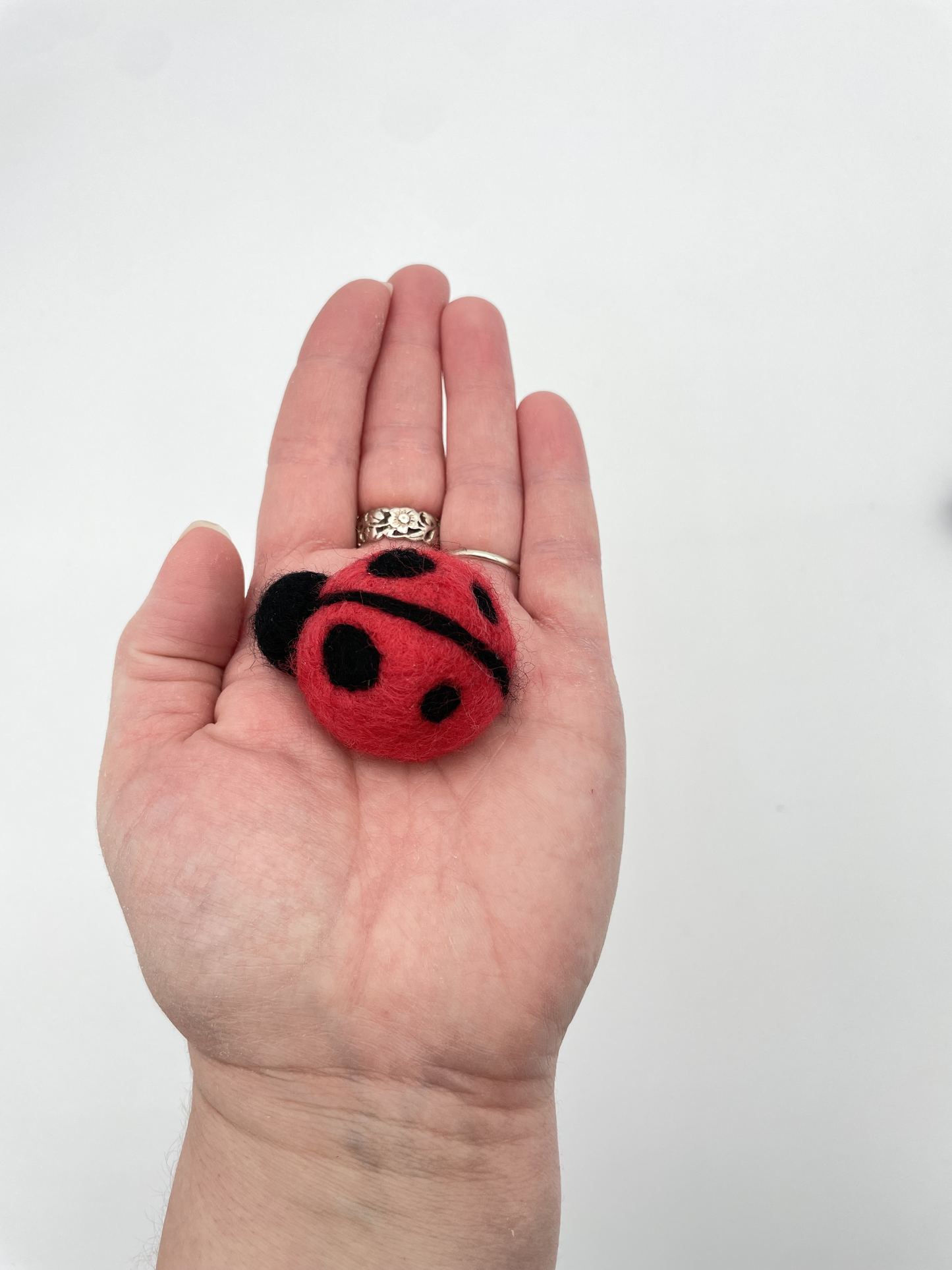 Ladybug