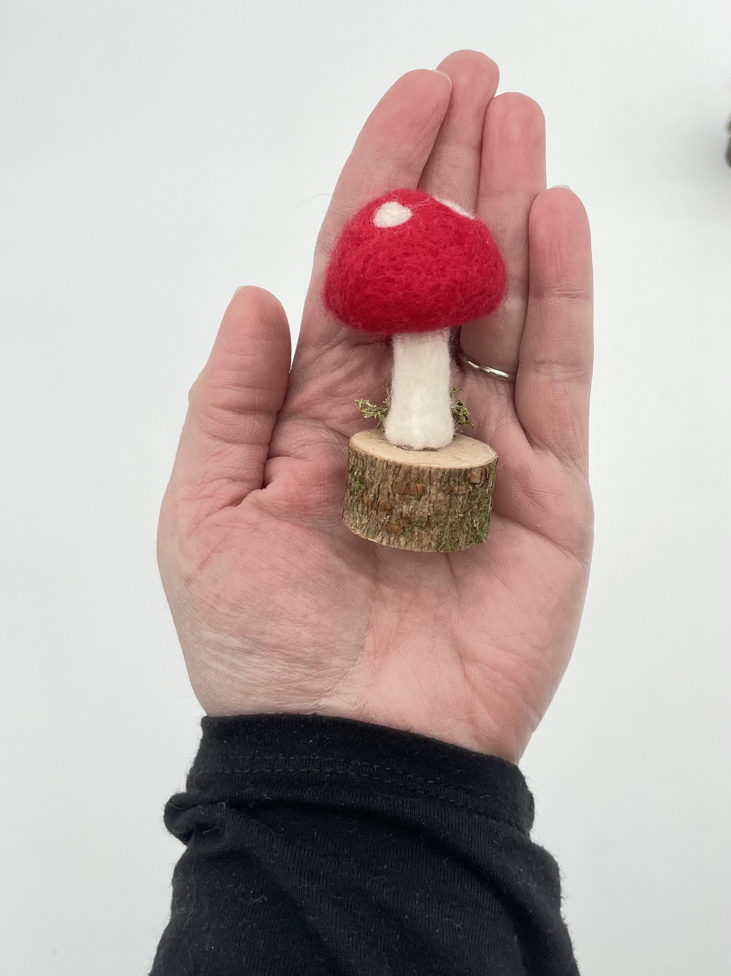 Mushroom-Needle-felted Wool