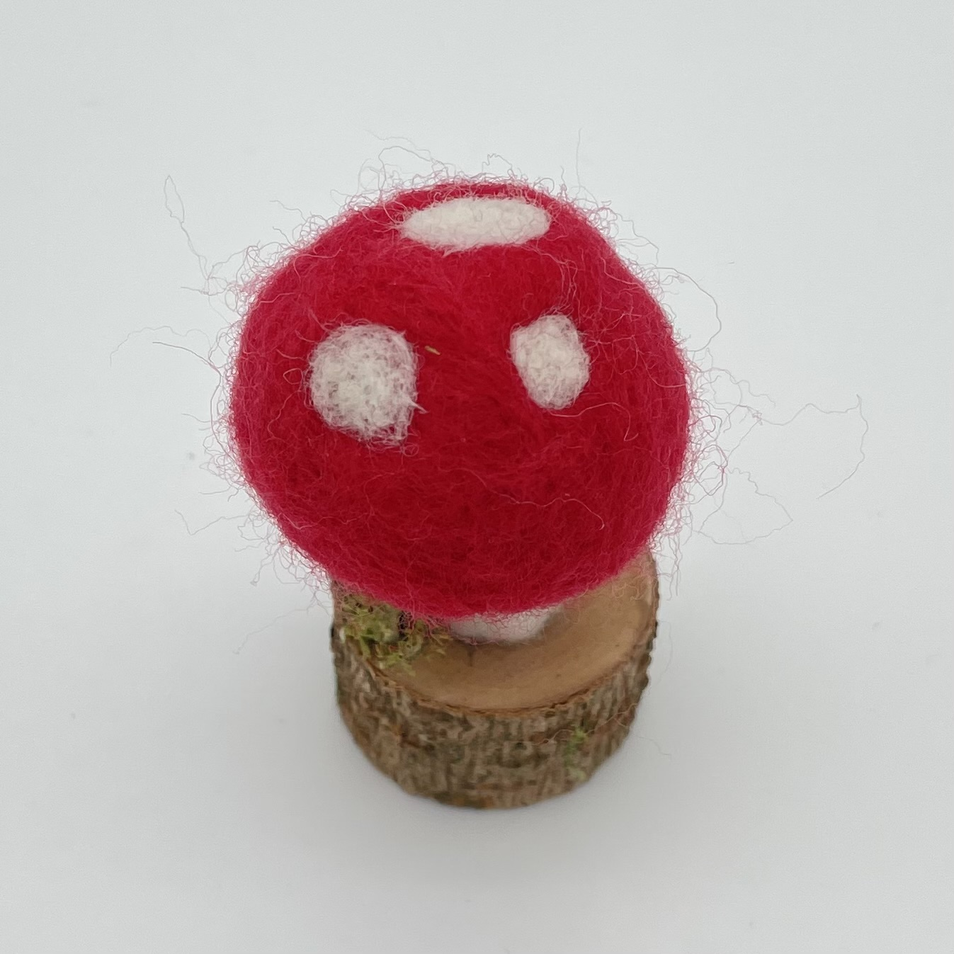 Mushroom-Needle-felted Wool