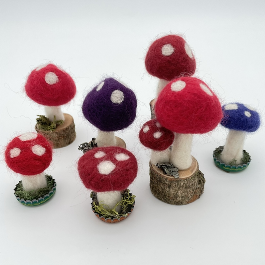 Mushroom-Needle-felted Wool