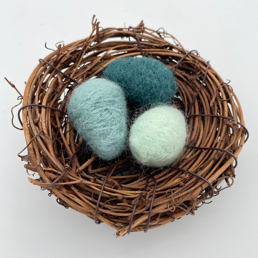 Eggs in  a Nest