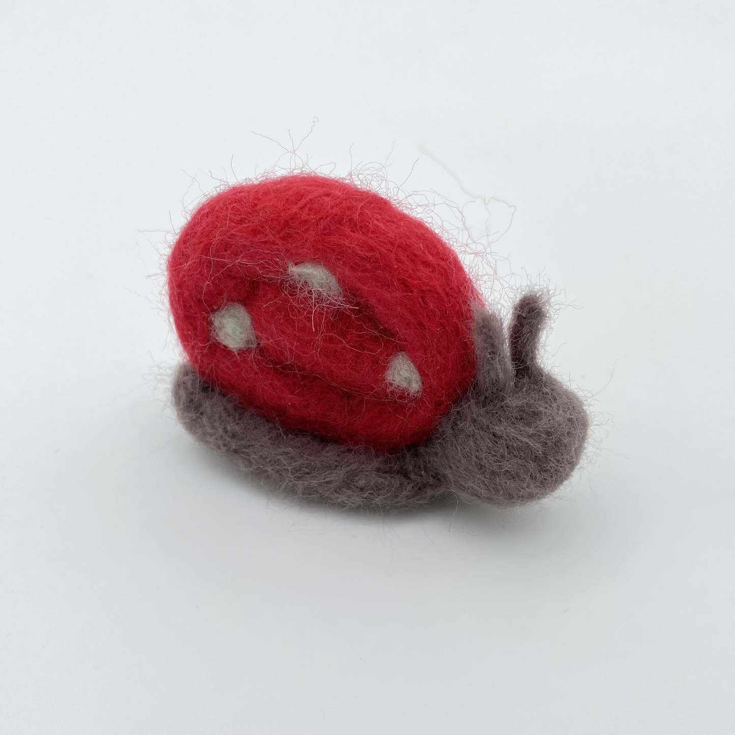 Snail