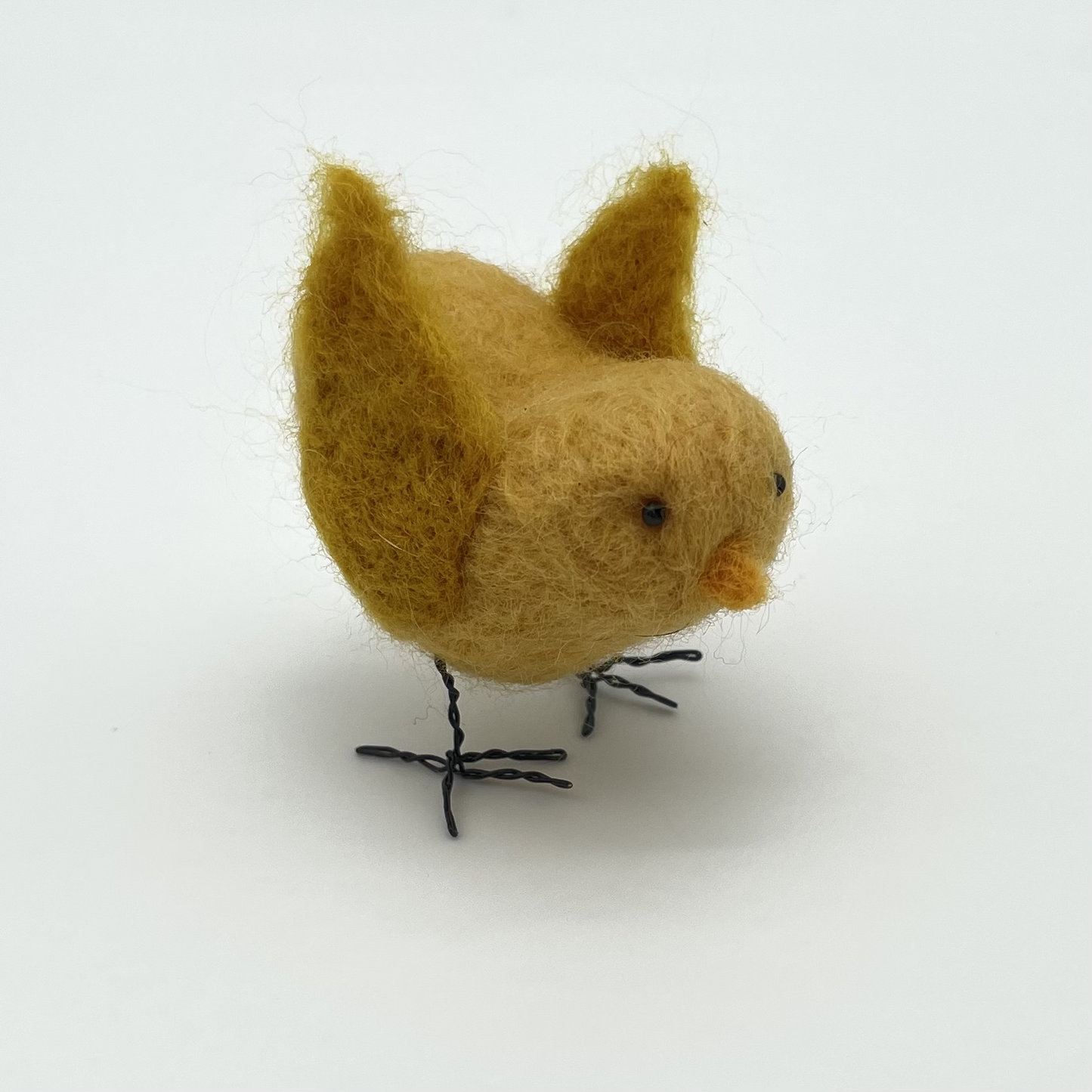Small Bird