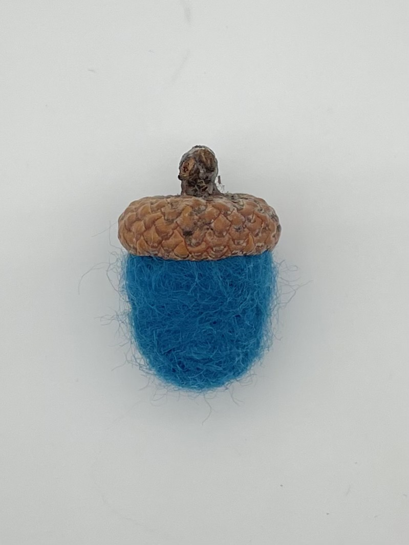 Acorn