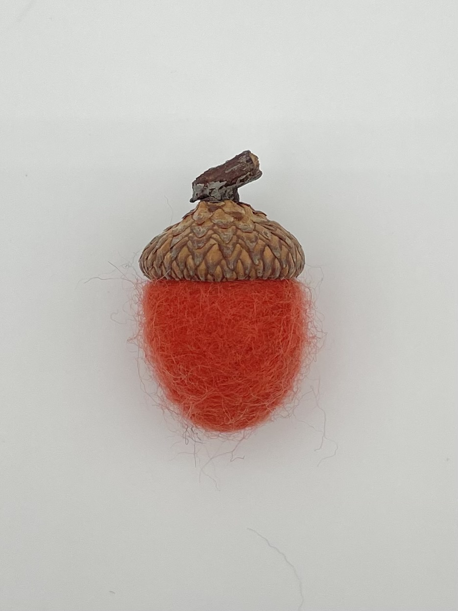 Acorn