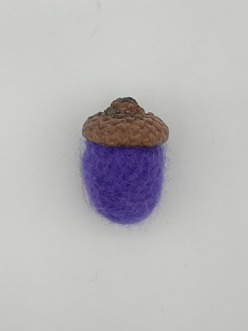 Acorn