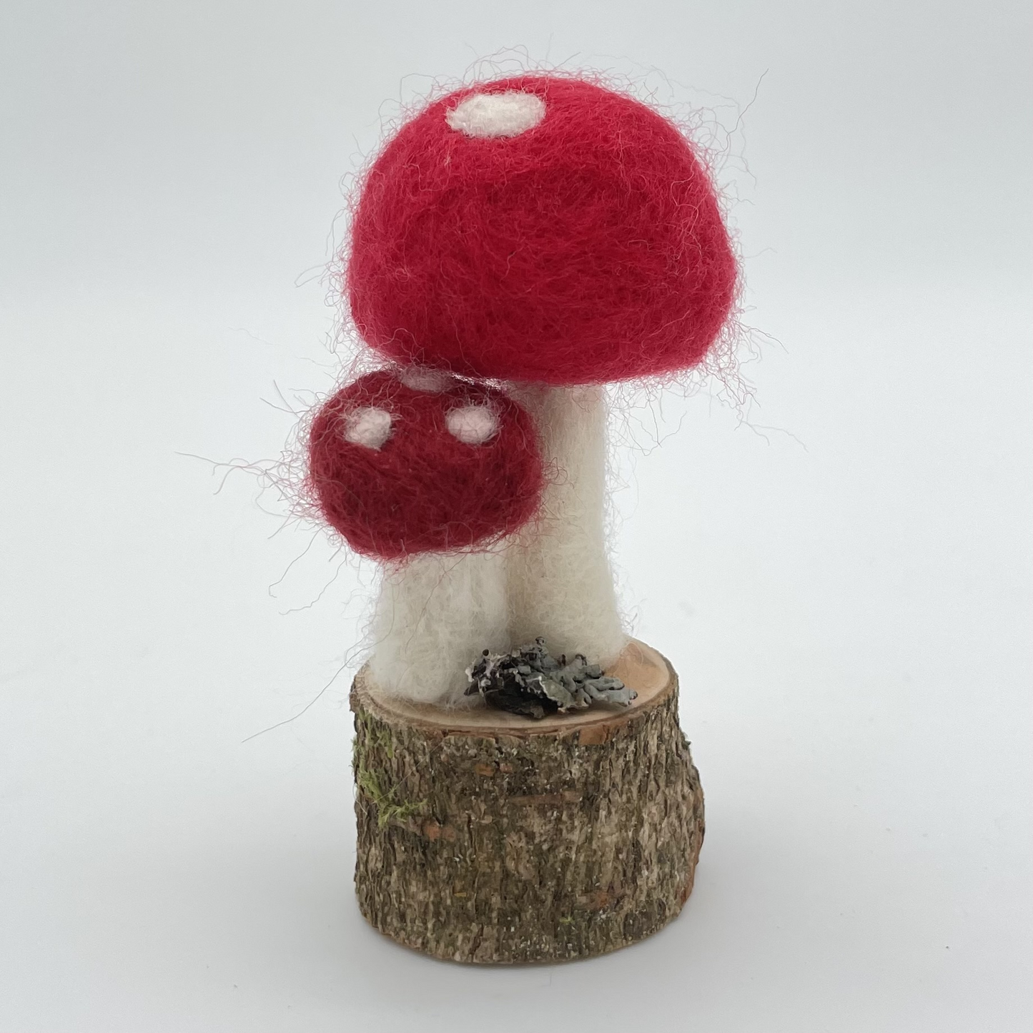 Mushroom-Needle-felted Wool