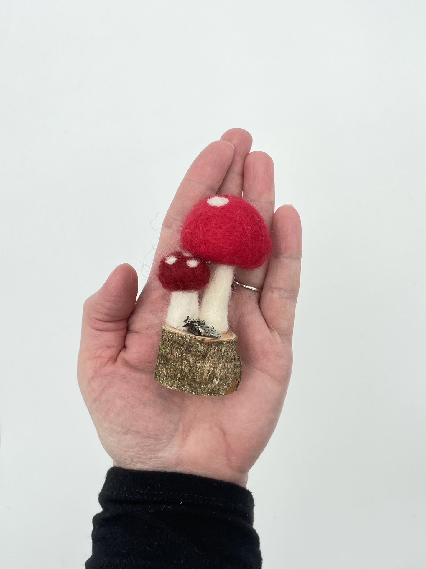 Mushroom-Needle-felted Wool